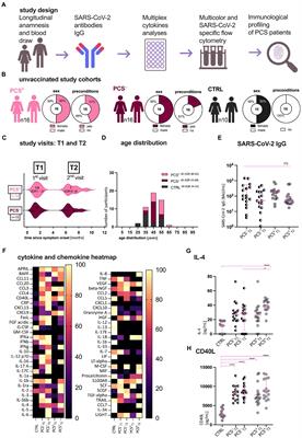 Immunological fingerprint in coronavirus disease-19 convalescents with and without post-COVID syndrome